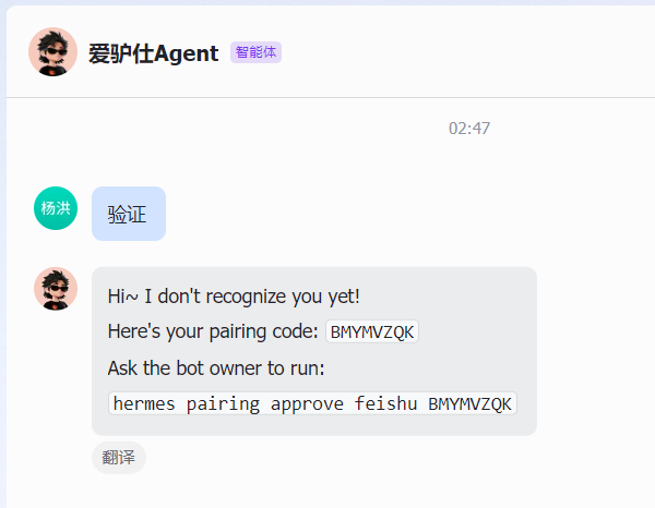 飞书DM配对