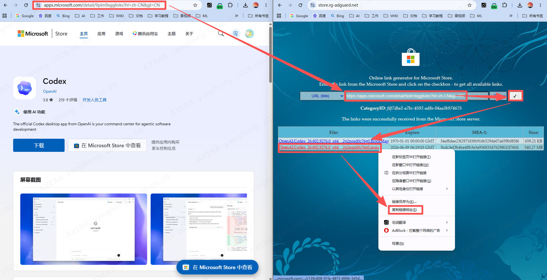 Codex 离线包解析结果