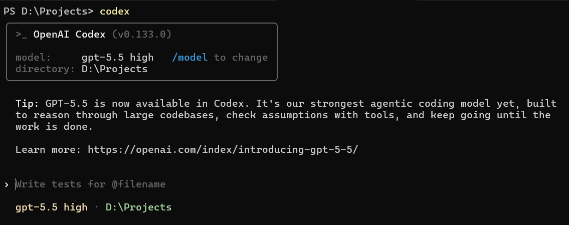 Codex CLI 安装界面