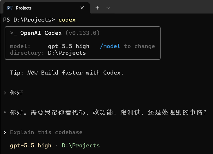 Codex CLI 测试回复