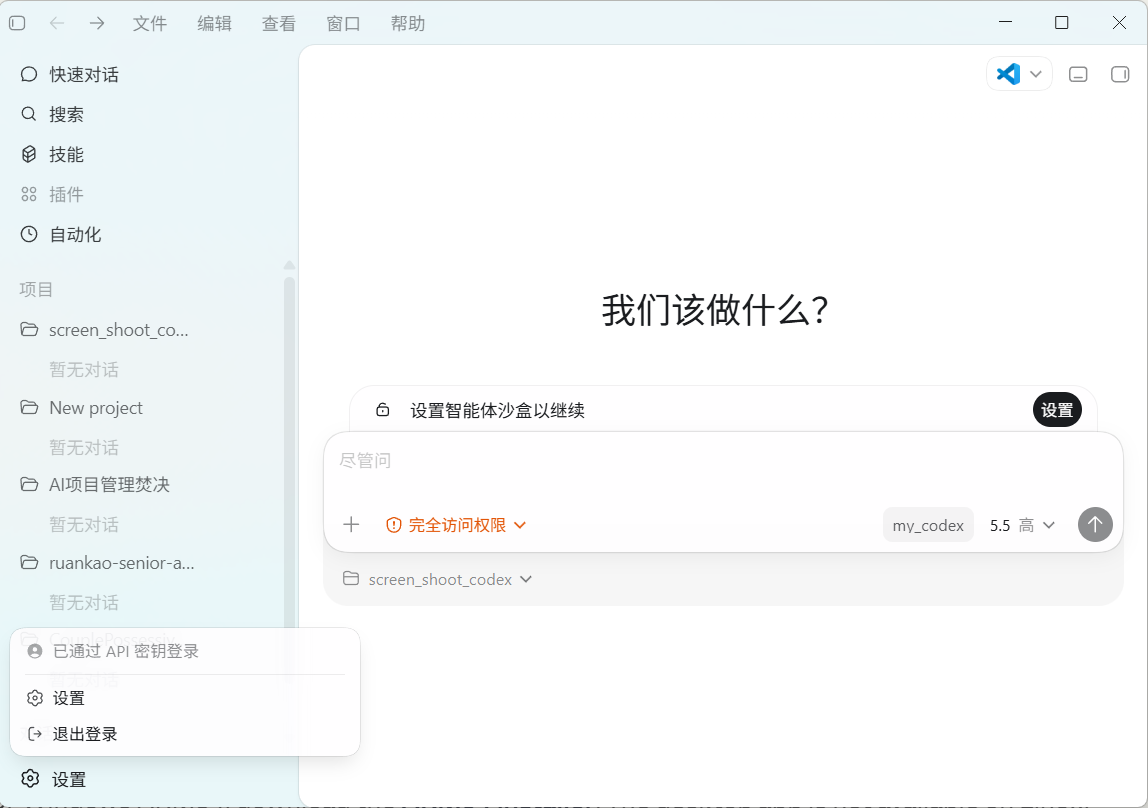 Codex APP 使用界面